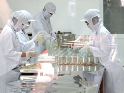 Việt Nam nghiên cứu thành công kỹ thuật nuôi trồng đông trùng hạ thảo và trồng nấm linh chi còn nguyên bào tử